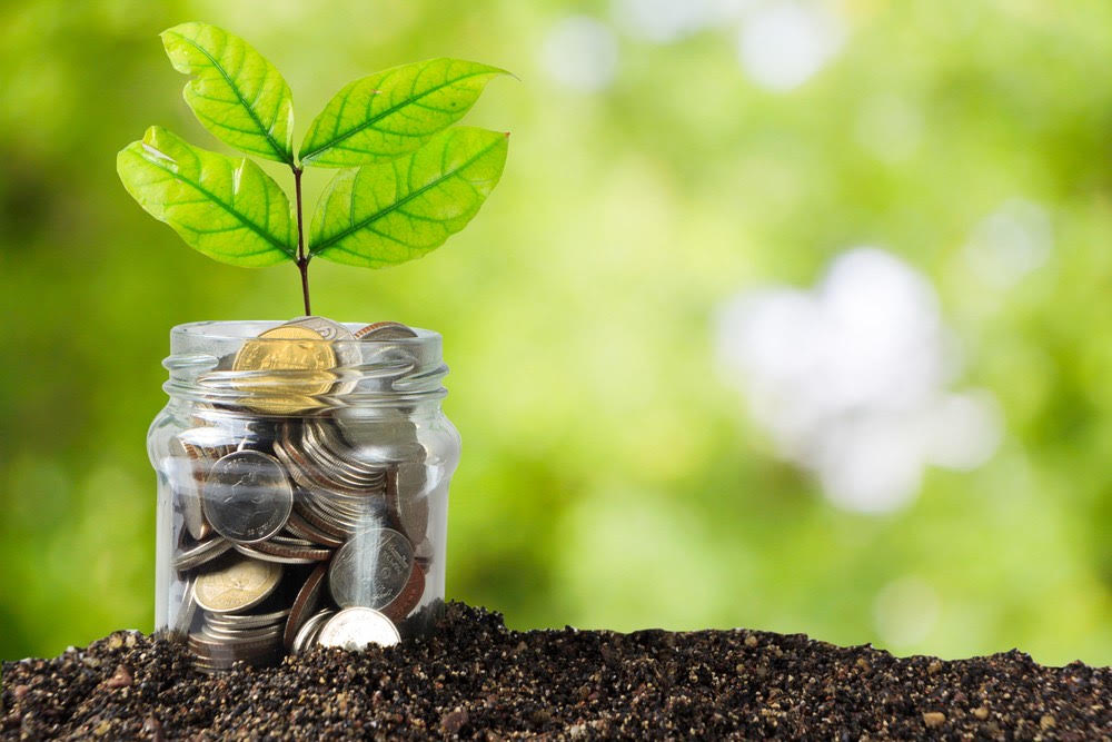 a jar full of money, surrounded by dirt, with a plant growing inside the jar or money, on a white forest-like background, talking about whether you should save or invest